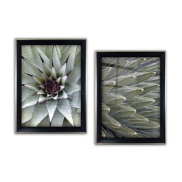 Wallity Cuadro Decorativo Enmarcado Multicolor (2 Piezas)